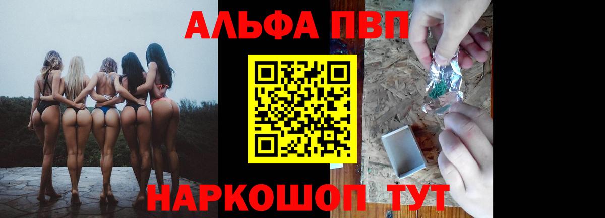 A PVP СК КРИС  Вход с VPN  Нижний Новгород  Alfa_PVP крисы CK 