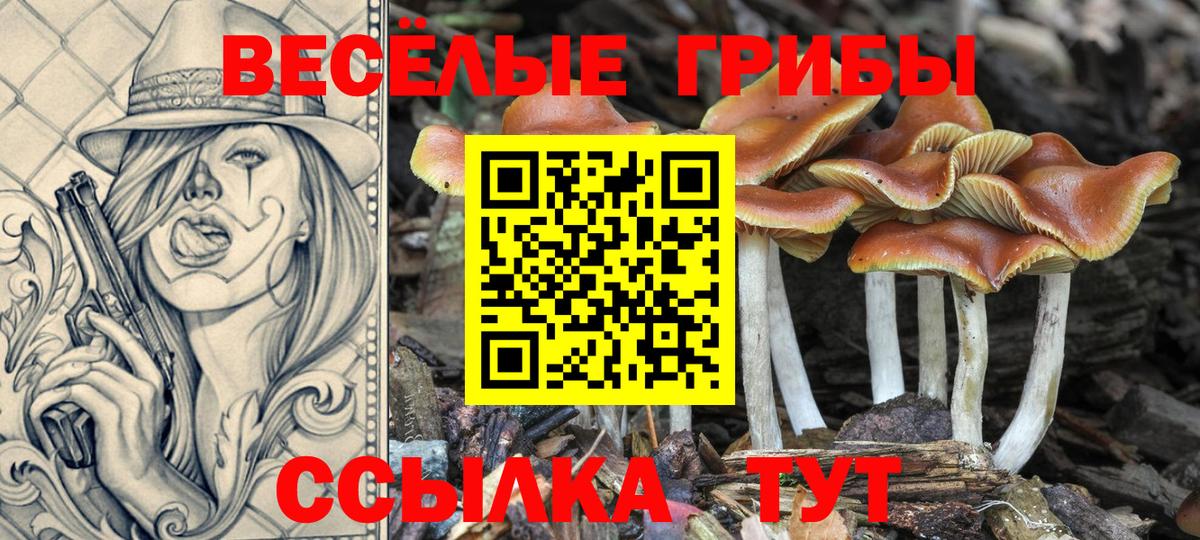 Псилоцибиновые грибы Cubensis  Вход с VPN  Нижний Новгород  Галлюциногенные грибы GOLDEN TEACHER 